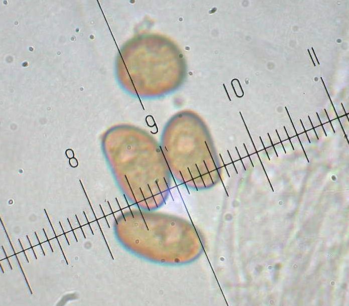 Quiz.z.z.z.z.z......